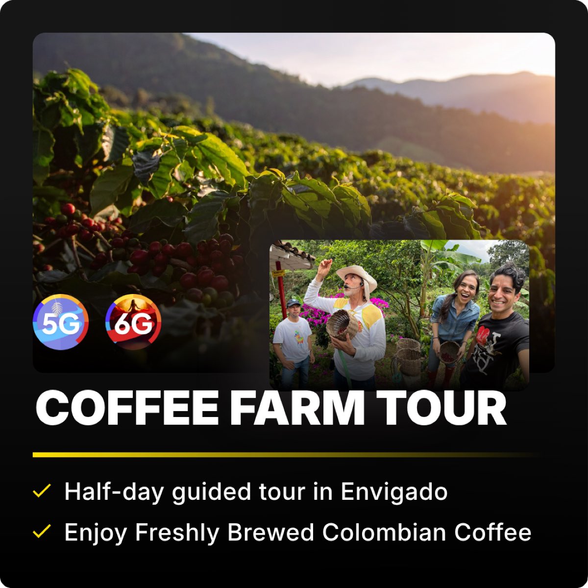 Coffee Farm Tour