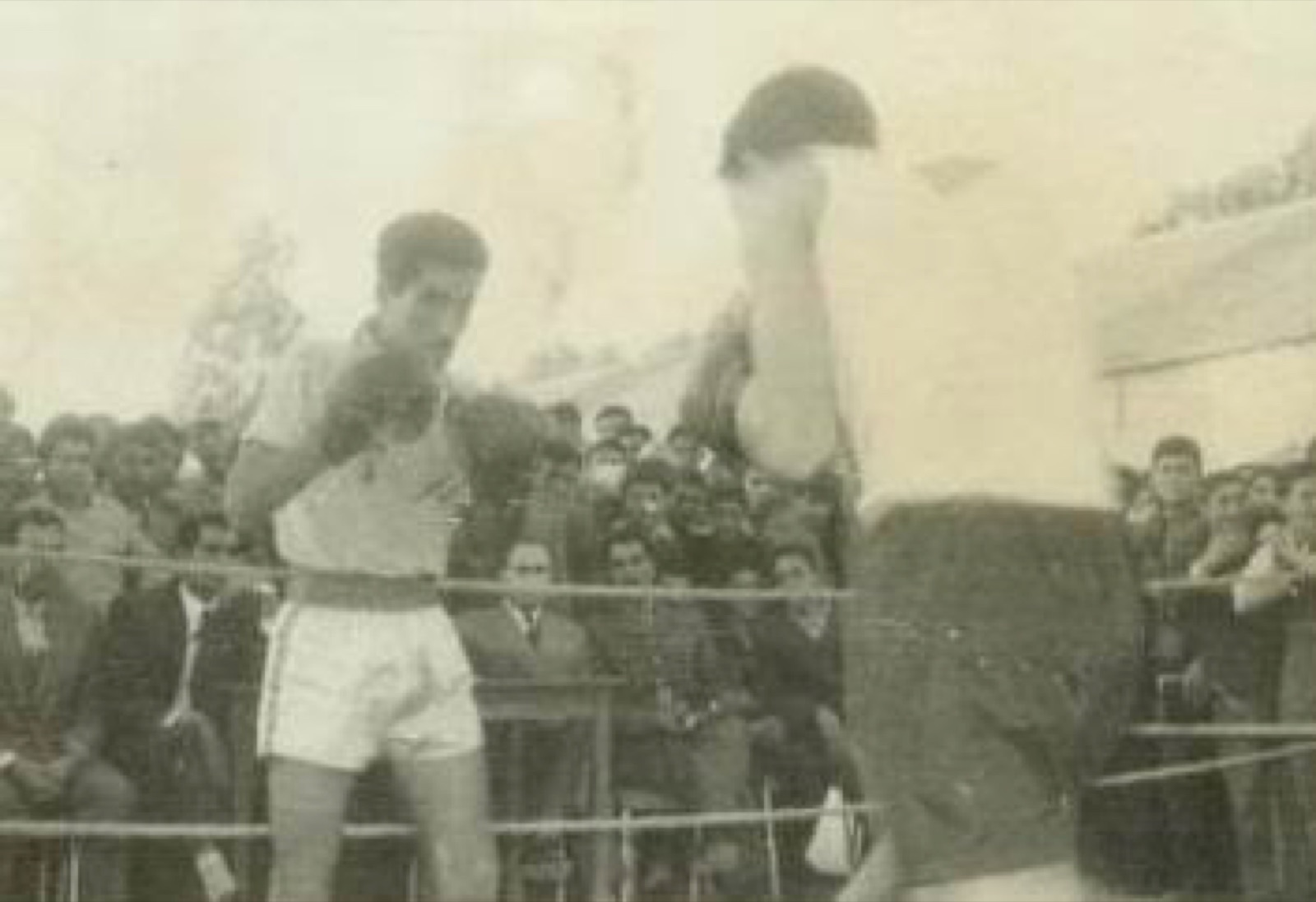 Fayez Mousilli: The boxer